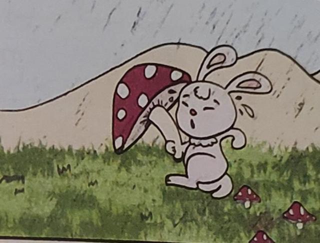 二年级看图写话《蘑菇伞》