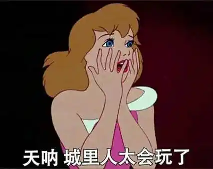 的调侃语和表情包,具体意思大概类似"城会玩",或者你们城里人真会玩