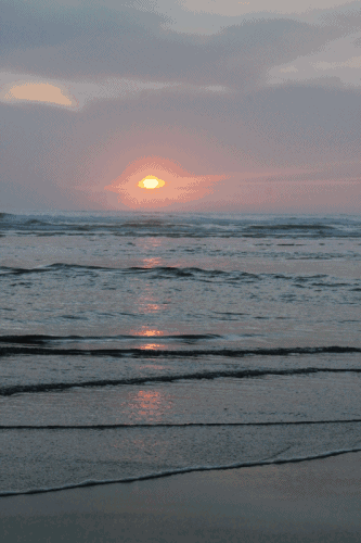 333_500竖版 竖屏gif 动态图 动图