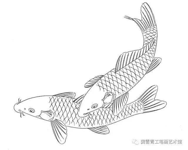 龚雪青工笔《鲤鱼百态》实用白描_组合_造型_象征