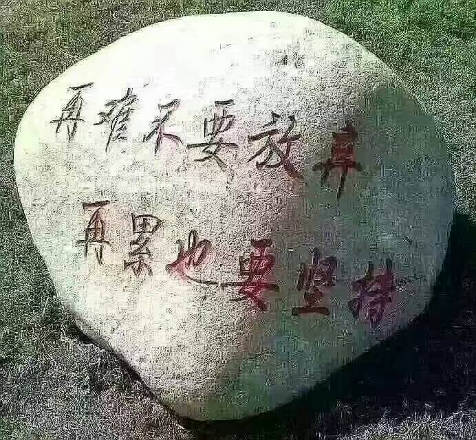 我想放弃一个人,可是心里舍不得怎么办