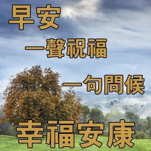 爱才能住进心房,愿你每天都拥有一份好心情 -----钱代卉 三,如果你是