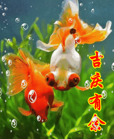 形容鱼的成语你好送你吉祥鱼祝你金鱼满堂年年有余
