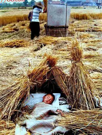 农村长大的来怀旧,城市的可以来猎奇