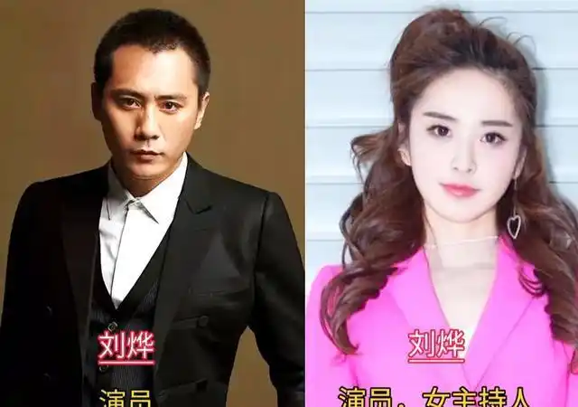 同名不同命的12对明星,两位刘烨各有所长,大小两个宋佳各有门道