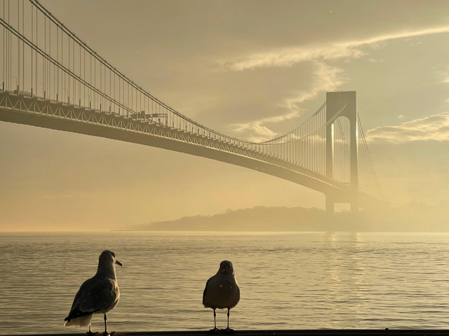 大海唯美意境图片     浅色夏末,唯美大海风景图片(美图 , 点亮心灵的