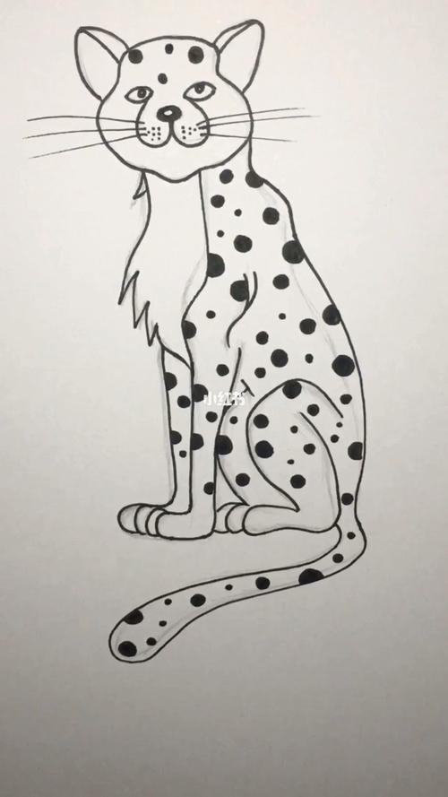 每日一画线描一只豹子简笔画简笔画教程文化绘画