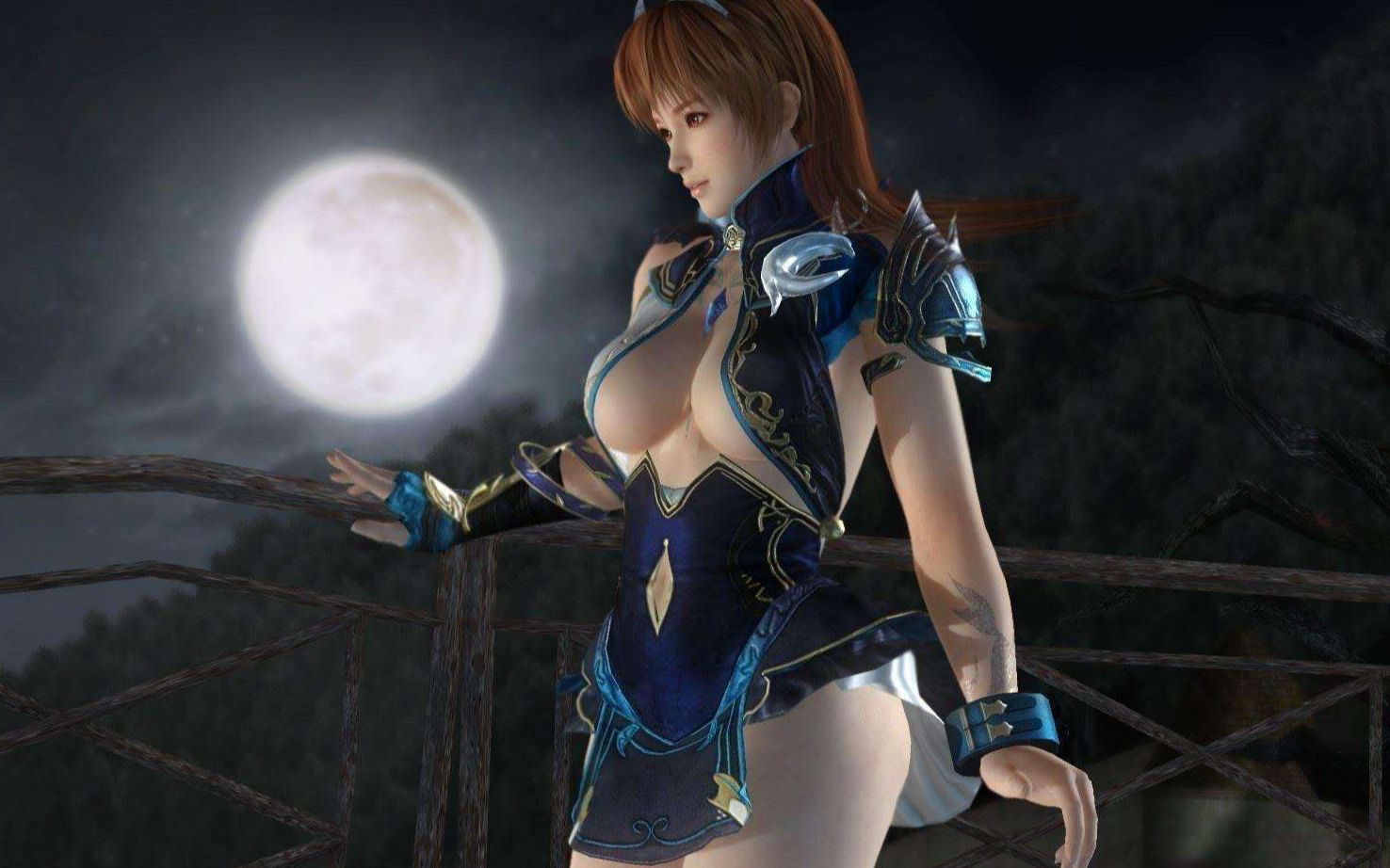 【死或生5】霞 阵 开 第一期格斗视频实况