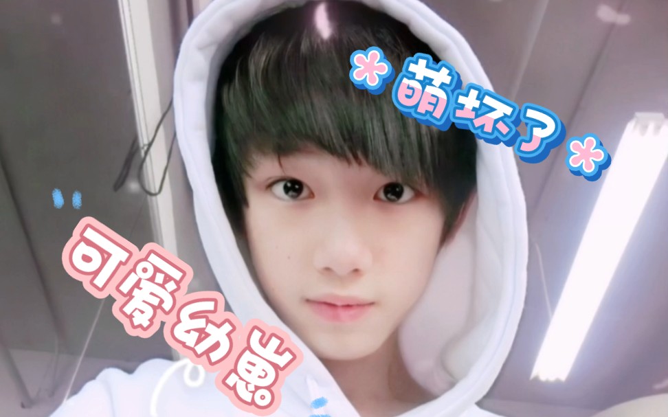 谁是没看过丁程鑫的幼崽萌照?