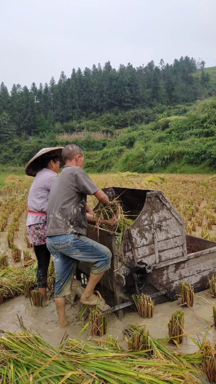 这样勤勤恳恳的一生,农民辛苦了!