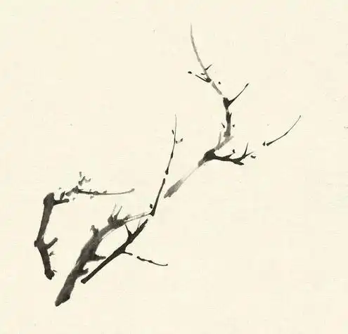 水墨画梅花的简单画法水墨画梅花的简单画法入门