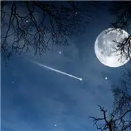 圆月的头像图片大全