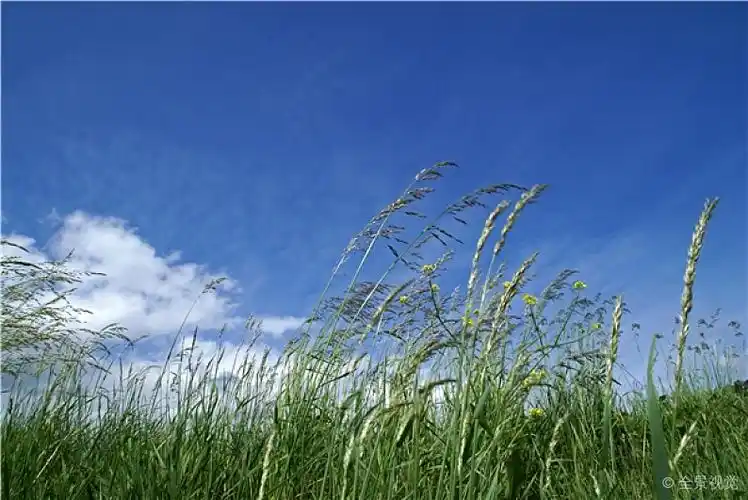 风图片_风高清图片_全景视觉