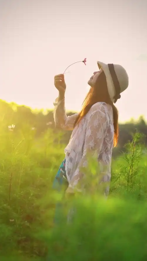 人生最美是淡然