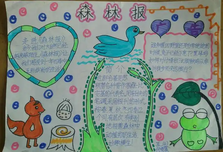 五年级组共读《森林报》成果展示