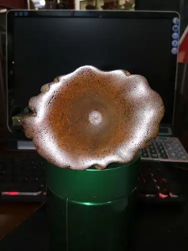 清代早期犀牛角杯精品欣赏