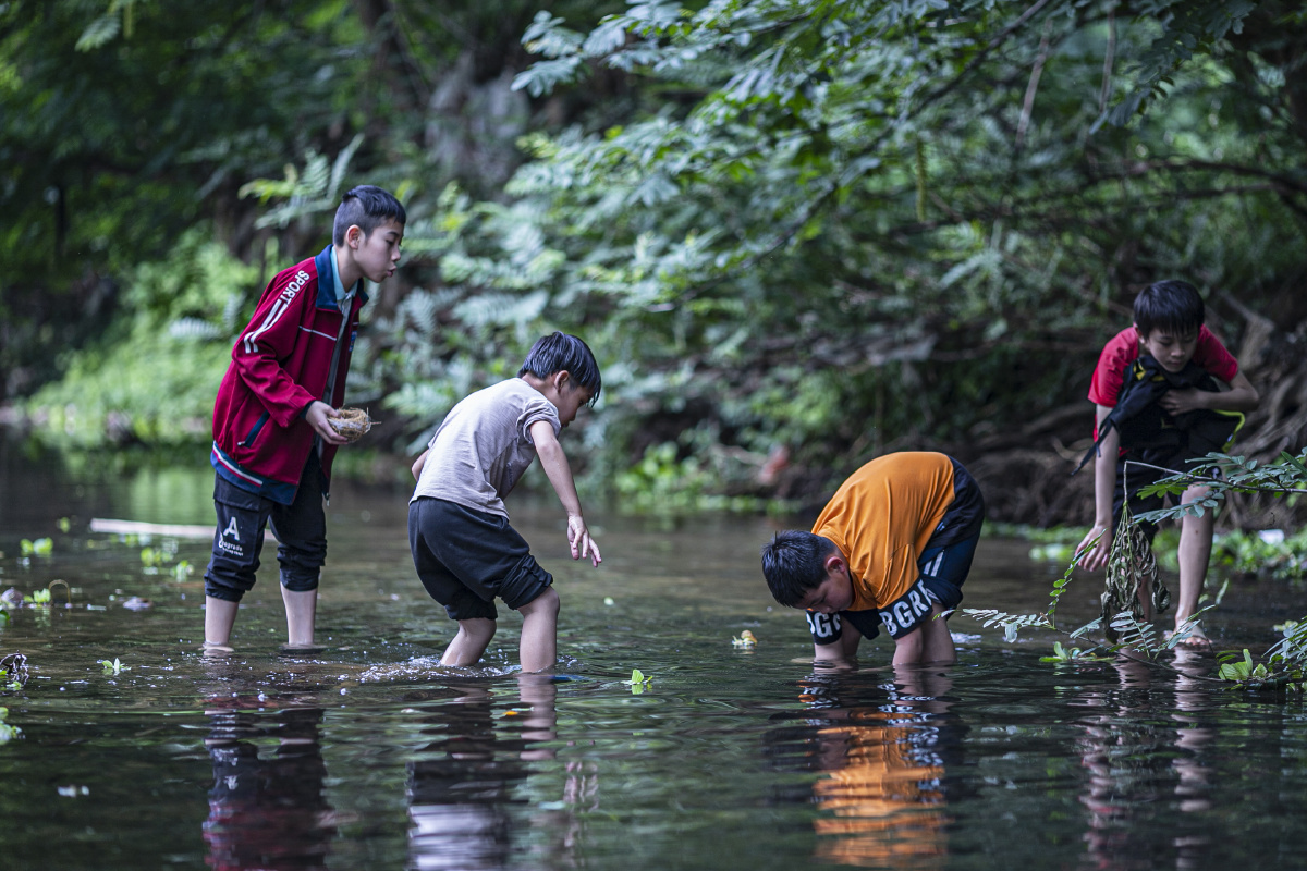 童年时光里最开心的莫过于和玩伴们一起戏水捉鱼摸田螺要是能回到从前