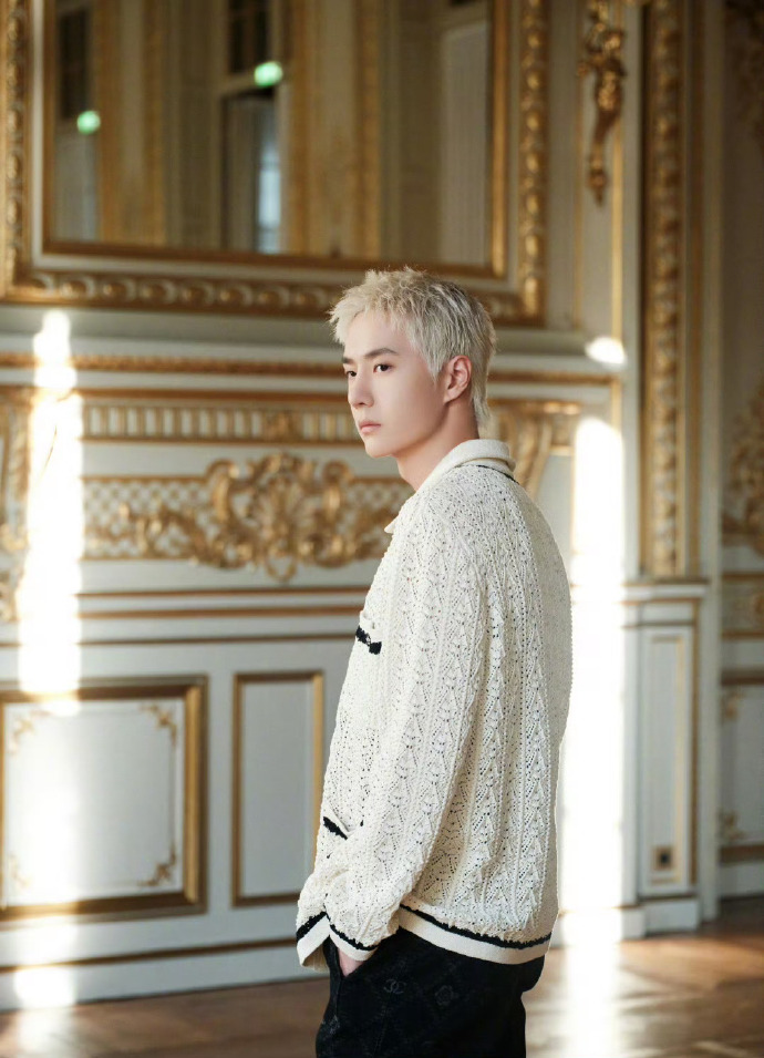 王一博 香奈儿##王一博白金狼尾街拍