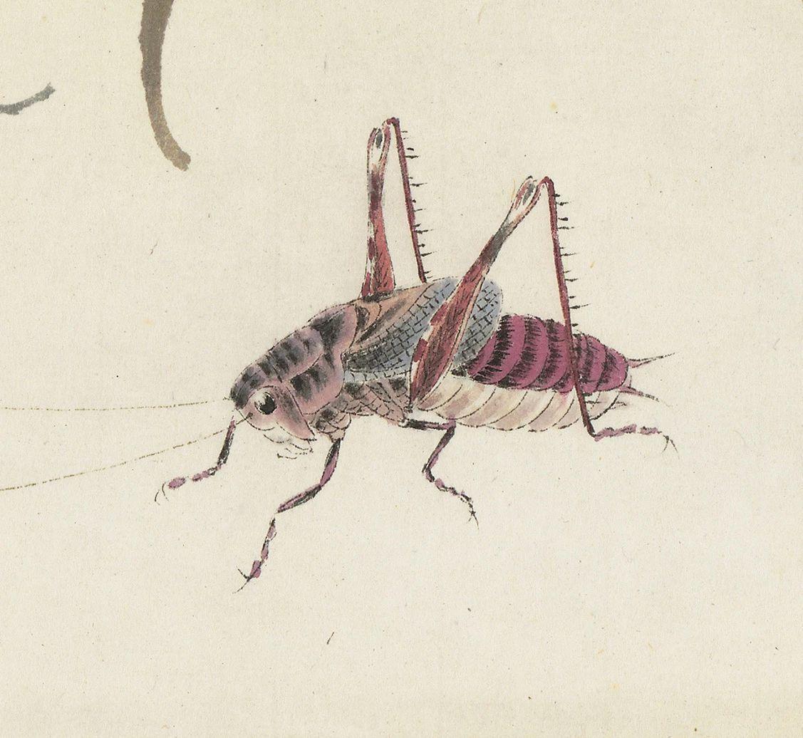 蚂蚱-齐白石工笔