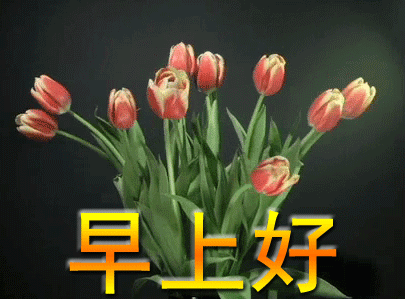 微信图片带早上好祝福语新版好看早上好祝福语图片合集