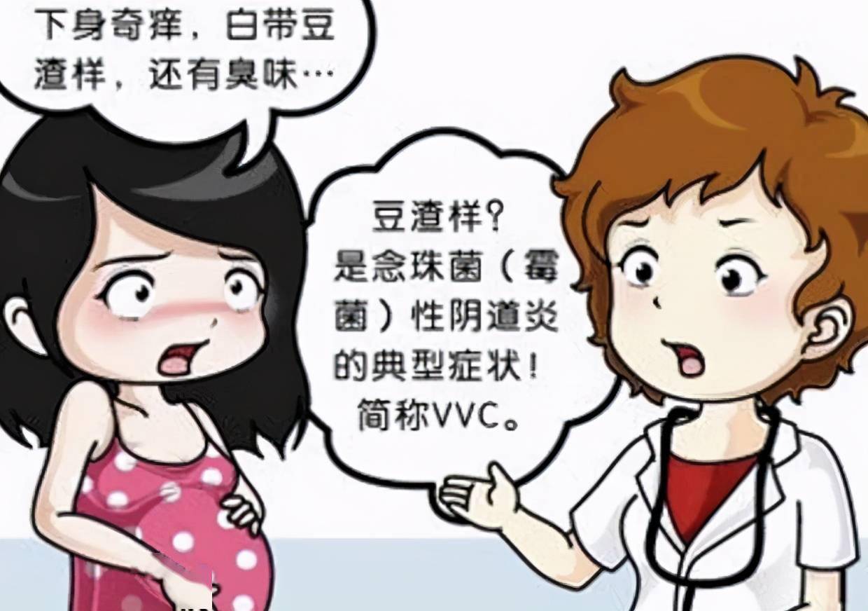 外阴阴道假丝酵母菌病,细菌性阴道病,滴虫阴道炎,其中外阴阴道假丝