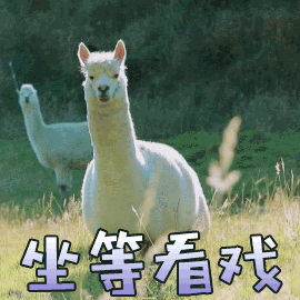 搞笑羊驼图片_搞笑羊驼动态图_搞笑羊驼表情包gif动图下载_soogif