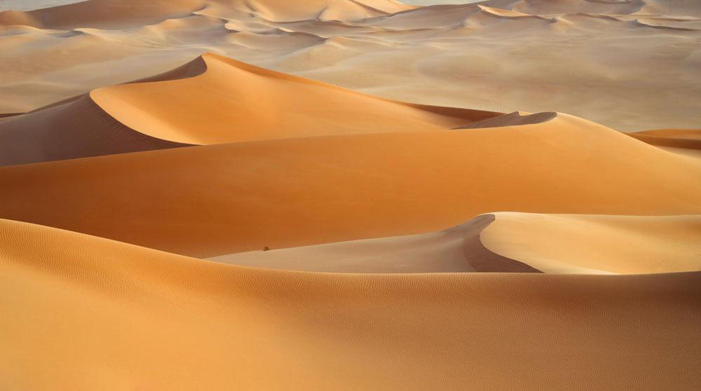 32张高清大图还原沙漠骆驼真实场景