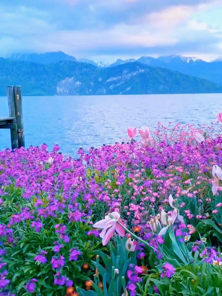 蓝天白云青山绿水这风景真的太美丽了