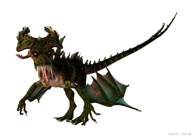 甲龙是恐龙中非常特殊的一种,它的尾巴上有一个形状独特的尾锤.