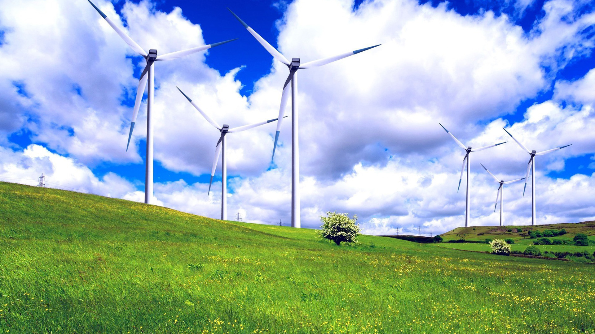 夏日小清新美丽风景高清壁纸