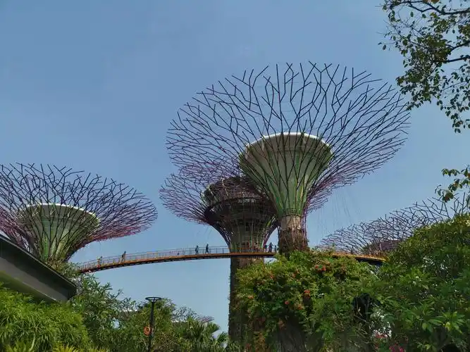 美丽的花园城市一一新加坡