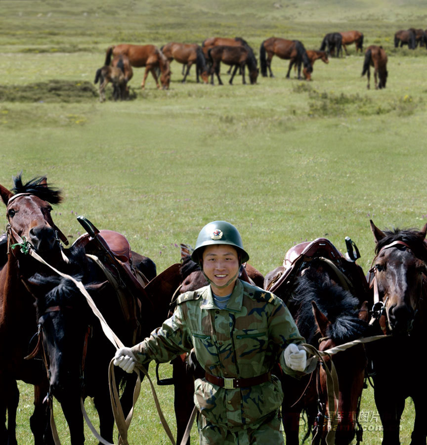 解放军二炮部队骑兵纵马驰骋尽显铁血本色_高清图集_新浪网