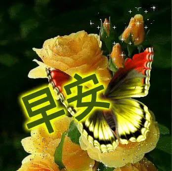 原创早安问候语阳光句子早上好问候语唯美图片表情