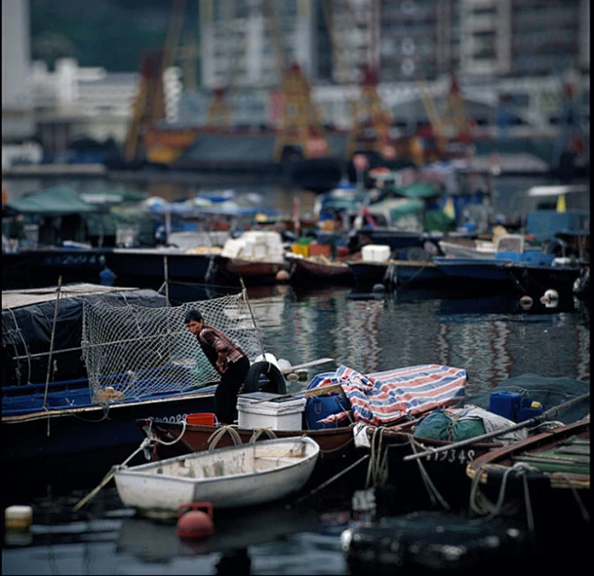 郑中基:tinyeyes的多重身份