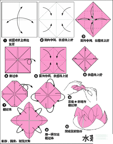 荷花莲花莲叶折纸