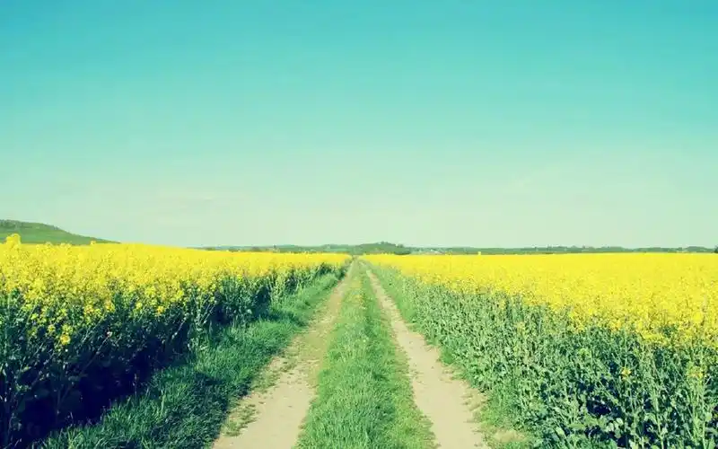 桌面壁纸 风景壁纸 > 正文  本文 清新护眼风景壁纸_美好意境的风景由