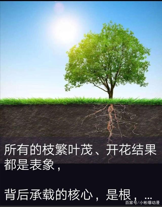 高考励志短句《6》