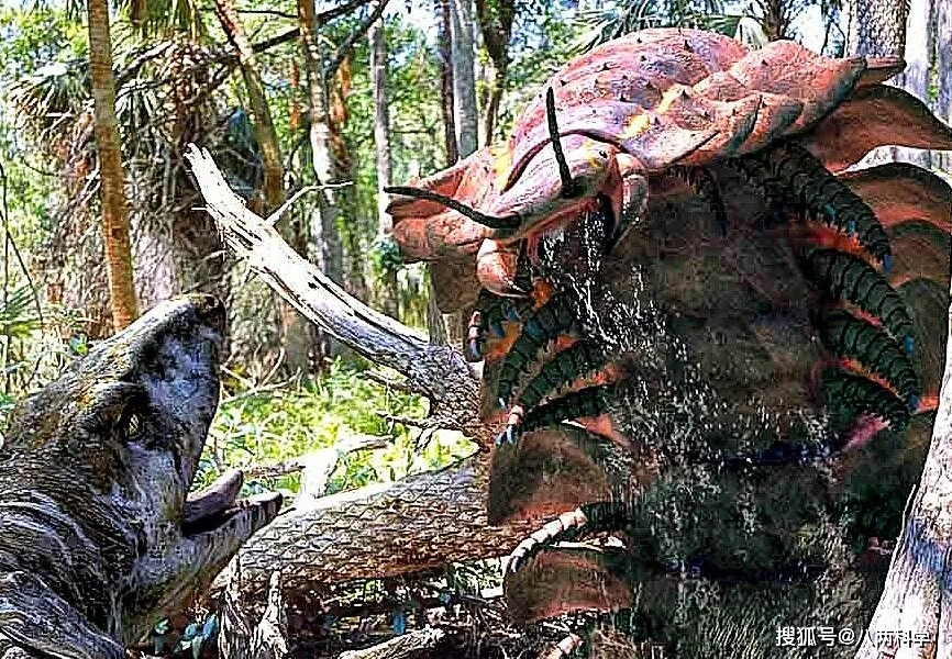 石炭纪的巨虫时代蜻蜓像老鹰大蜈蚣有2米多