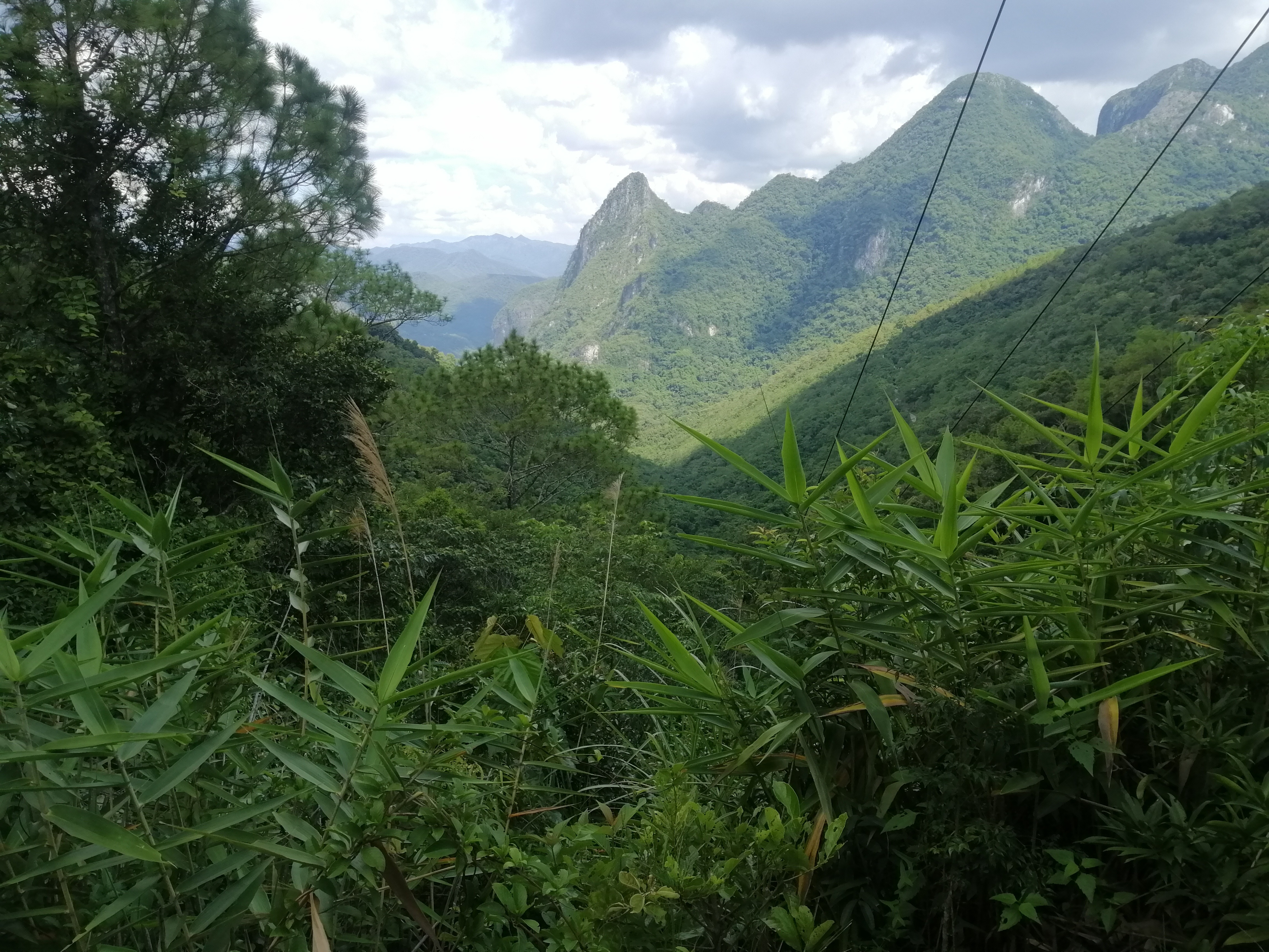 游览昌江霸王岭有感