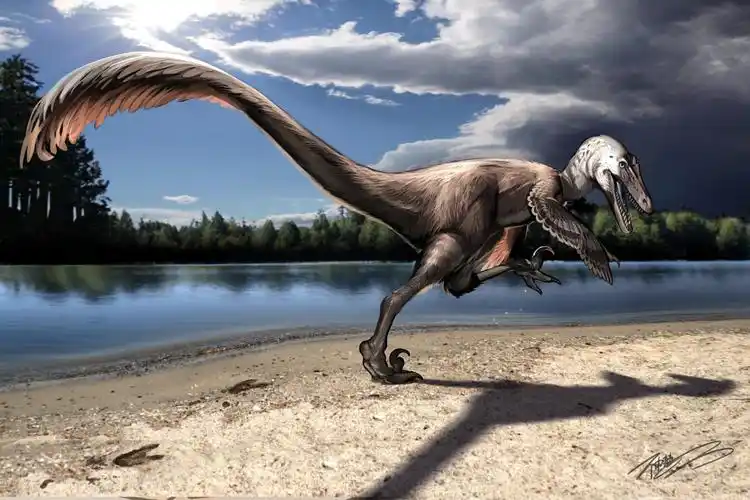 贵州首次发现恐爪龙类足迹