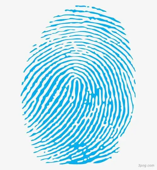 指纹png素材透明免抠图片-动植人物