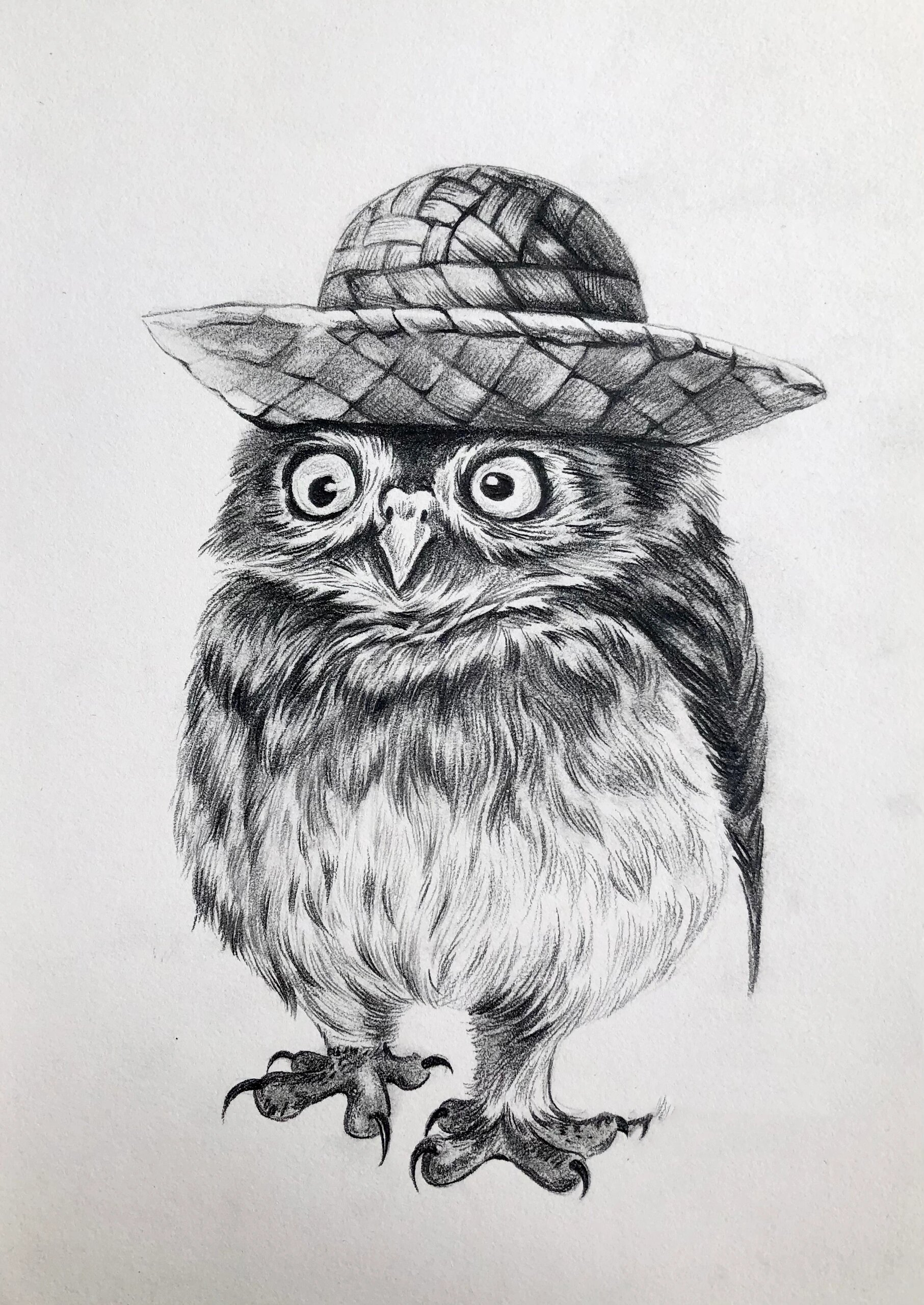 10岁以上简单素描合集 近期画素描的很多,一般10岁以上就开始接触彩铅