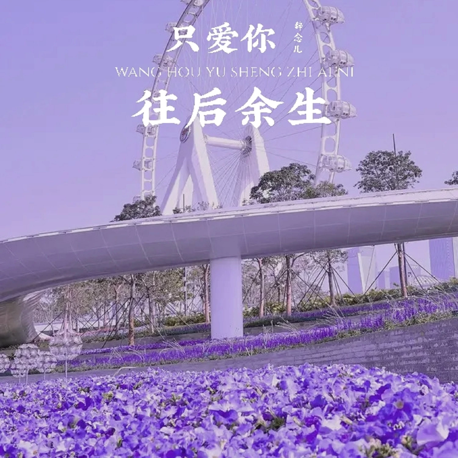 辞念儿往后余生只爱你