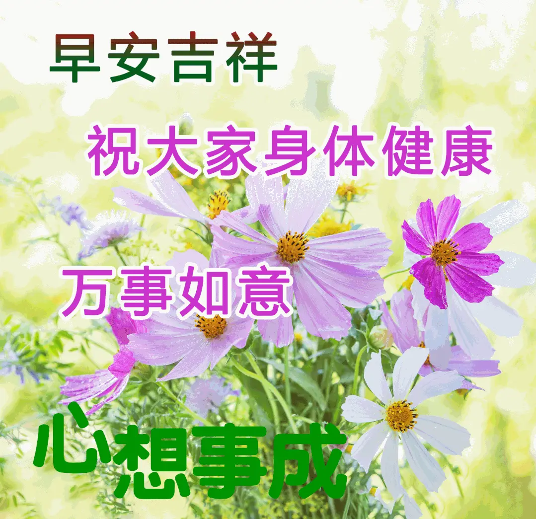 原创最新最美的早上好问候图片带字祝福大家早上好的图片
