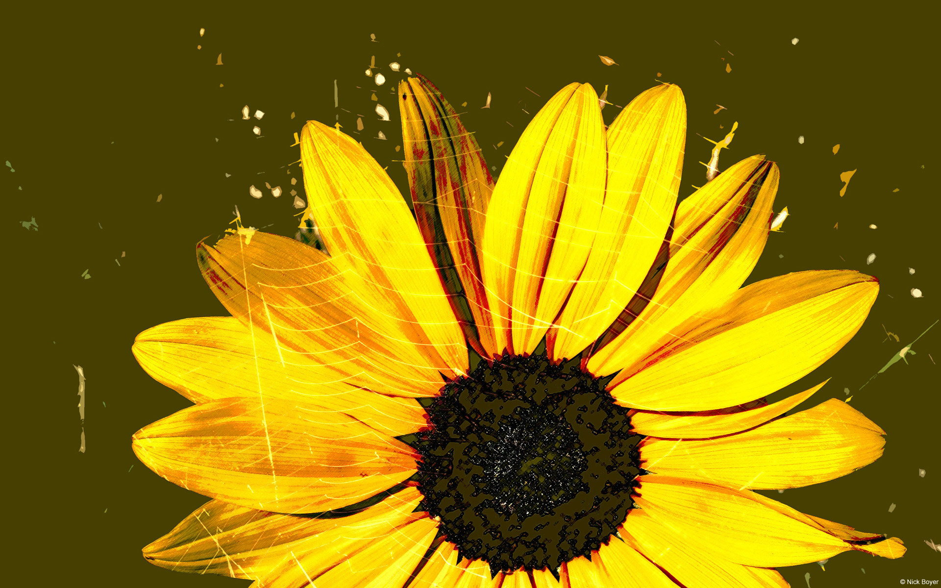 唯美风格手绘美丽图画电脑桌面壁纸高清