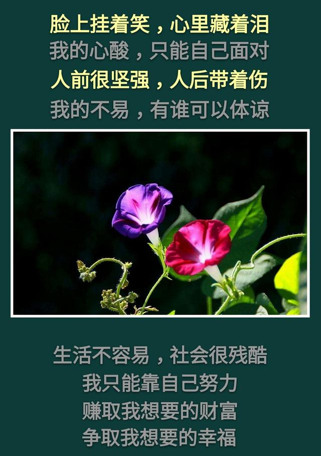 脸上挂着笑心里藏着泪人前很坚强人后带着伤