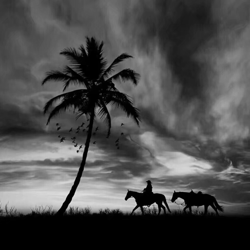 姜祁恩/神仙背景图/登陆温柔计划