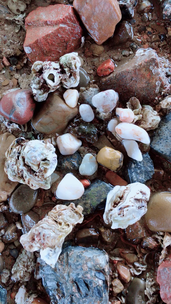 海边捡的石头,谁能告诉我值钱不这石头,用不用带回家?