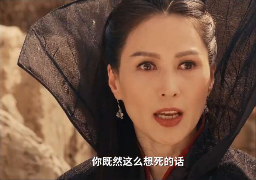 胡慧中有小林青霞之称,俩人的容貌,气质很像.