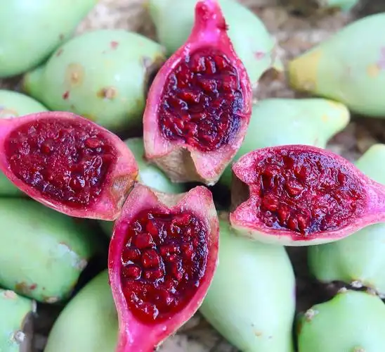 野生仙人掌果-房子优果_房子优果加盟_房子优果官网